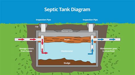 How much does it cost to empty a septic tank. Things To Know About How much does it cost to empty a septic tank. 